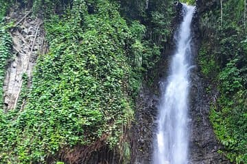 Dark View Falls - Saint-Vincent