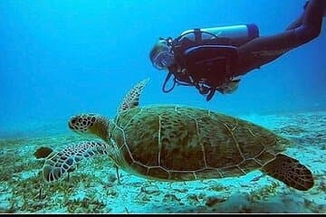 Baseado em Anguila: PADI Discover Scuba