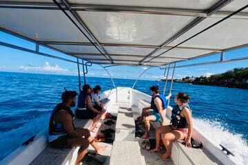 Puerto Plata Shore Excursion, Snorkeling tour & Sosua Beach Day