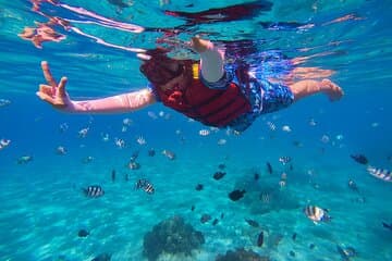 Snorkel St. John Tour de Sapphire et Margaritaville