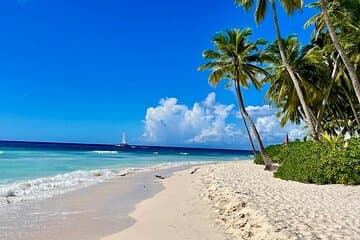 Un día mágico en la isla de Saona
