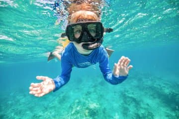 Crucero de medio día por la mañana desde Providenciales con snorkel y la isla Iguana