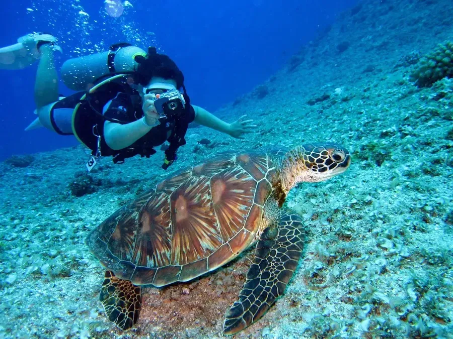 Diving conditions and clear water in the Eastern Caribbean near Barbados